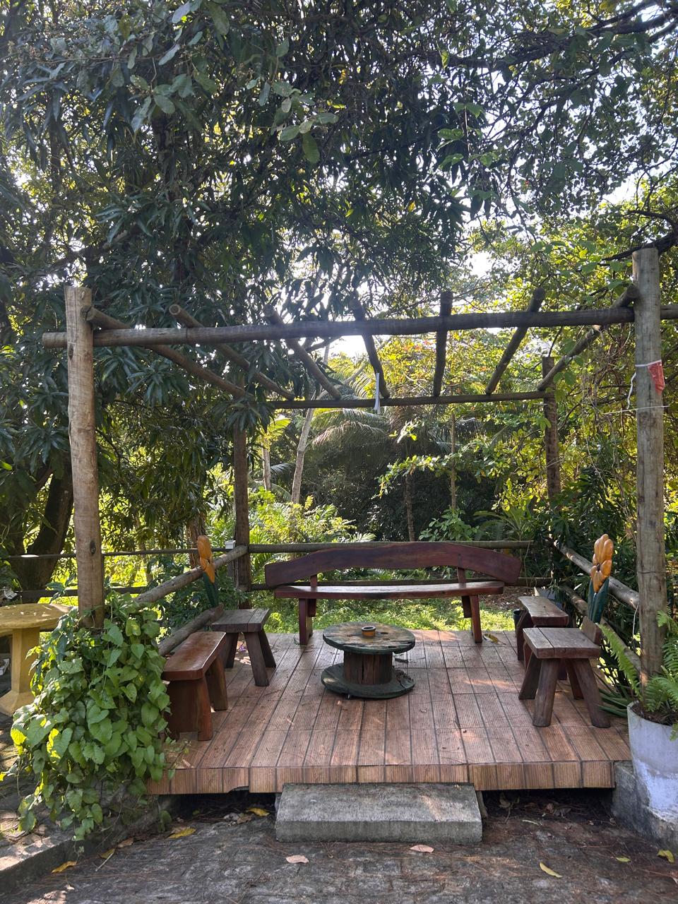 Deck cercado de vegetação