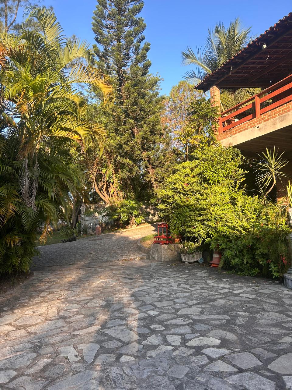 Entrada arborizada