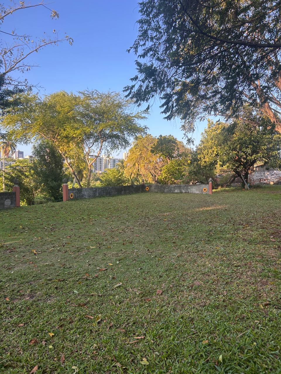 Gramado e área verde
